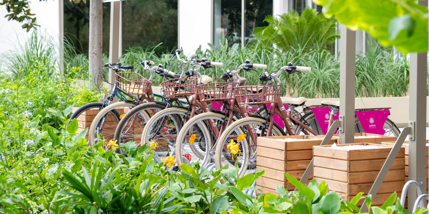 Akra Antalya Bisiklet Dostu Otel Galeri D3