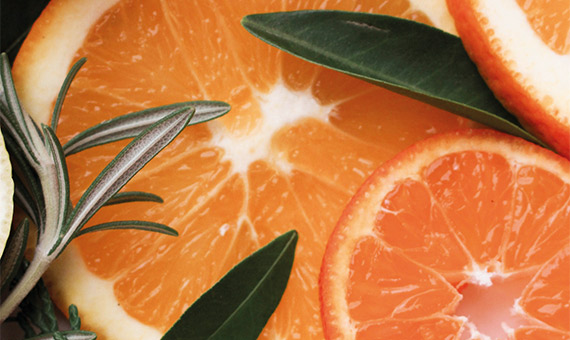 Akra Didim Clam Card