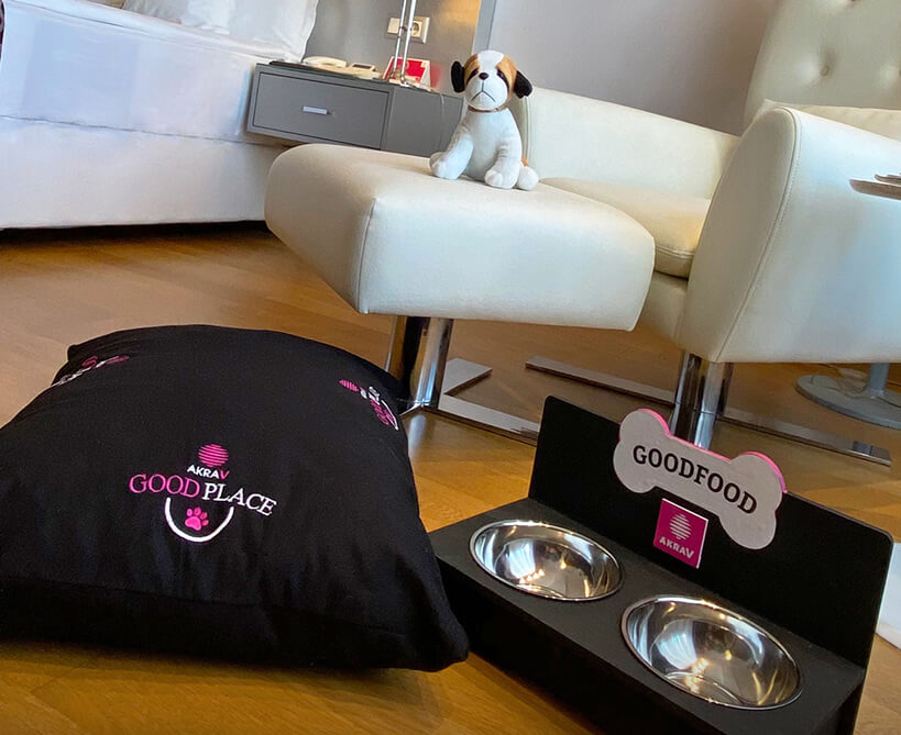 akra-v-pet-friendly-card (1).jpg