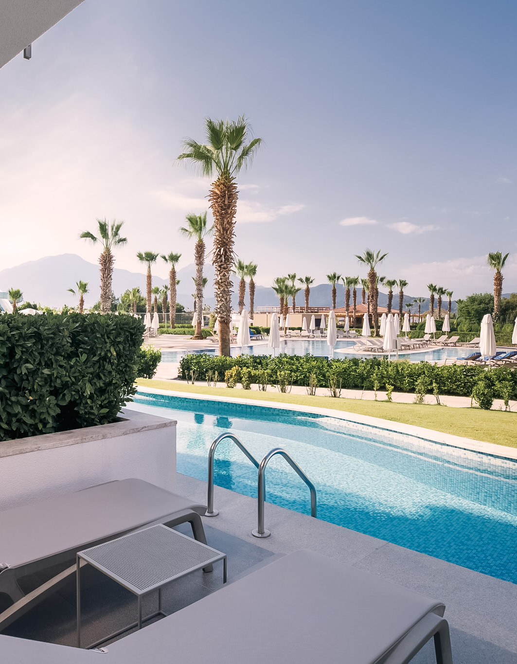 Mixed Stardard Swim Up_06.jpeg