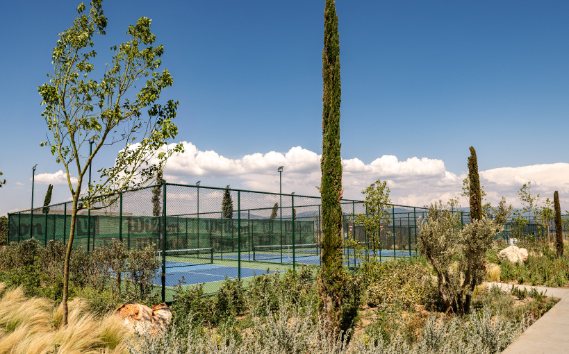 RacketsClub_gallery10.jpg